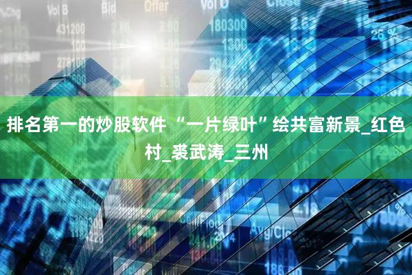 排名第一的炒股软件 “一片绿叶”绘共富新景_红色村_裘武涛_三州